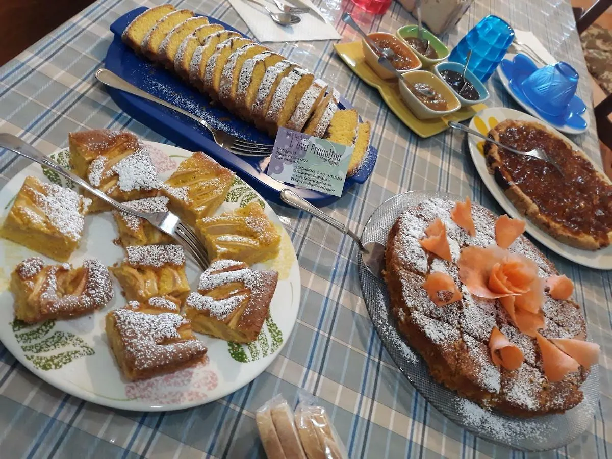 Bed & Breakfast B&B L'Uva Fragolina Case la Selva